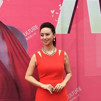 翁虹出任廣西欽州房產(chǎn)開業(yè)盛典嘉賓